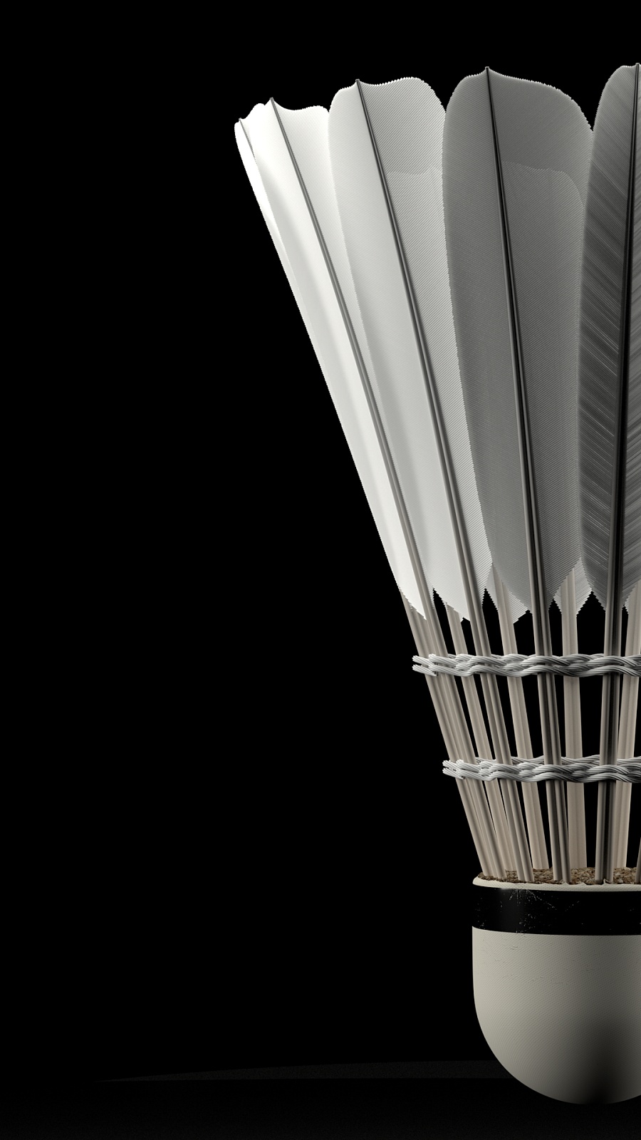 冬窗不动主 冬窗不动主