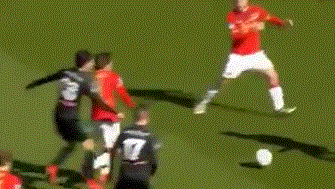 可持续的 可持续的